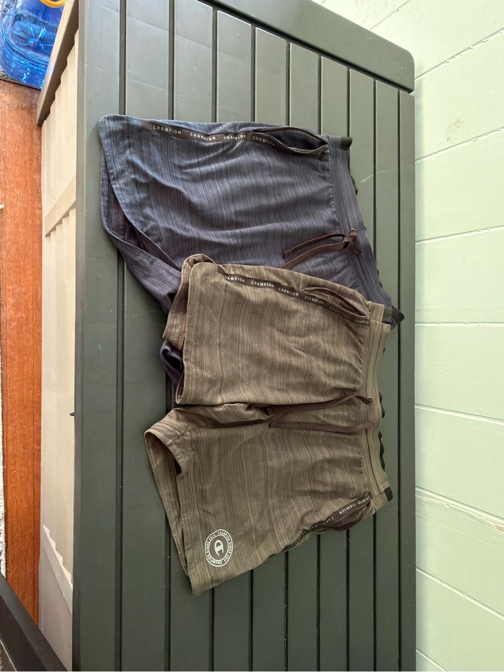 Pair of Champion Athletic Shorts (Green and Blue)